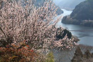 01_ポスター賞「雲景山梅渓」西村康男